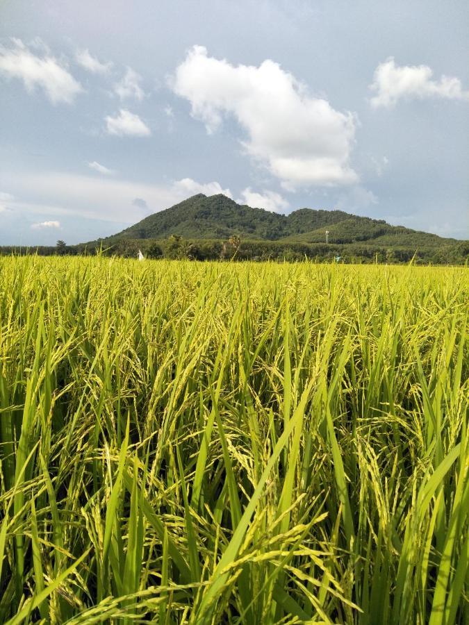 Baan Gebsup บ้านเก็บทรัพย์ Ko Yao Noi Buitenkant foto